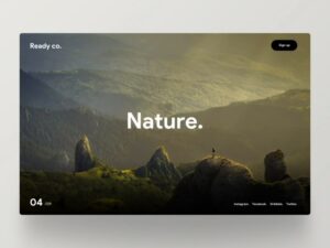 website design