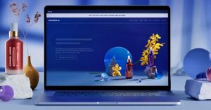 website development wins