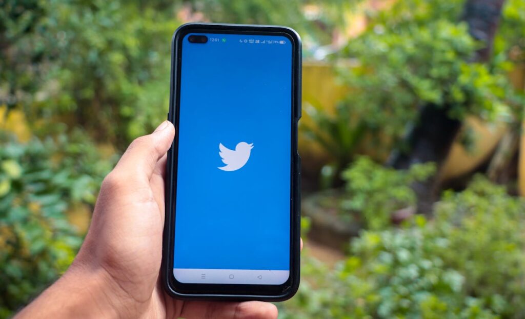 social media growth